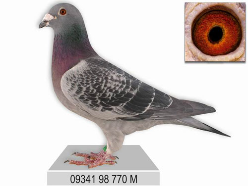 ÿ��һ�룺��������������ԡ�