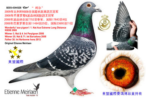 ÿ��һ�룺������������ھ����¶���