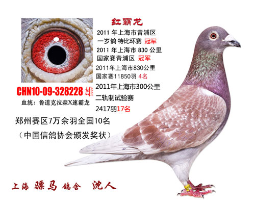 ÿ��һ�룺�����������ʮ�������