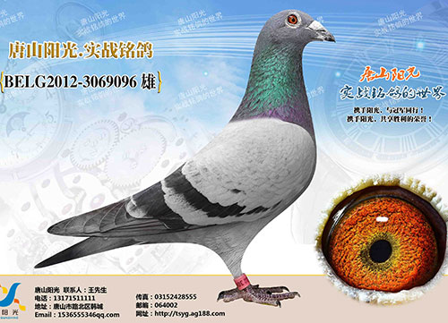 ÿ��һ�룺��ɽ�������֮��������