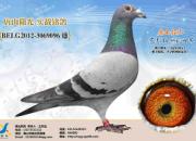 ÿ��һ�룺��ɽ�������֮��������
