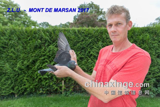 ŷ�޹����������ʳ�¯ 17���ܹھ���������