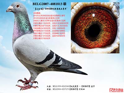 ÿ��һ�룺KBDB�������������������衱