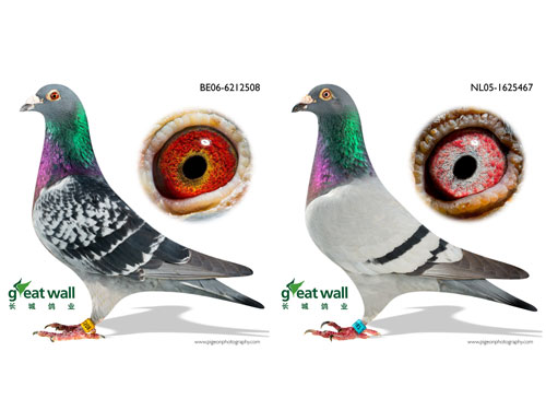 ÿ��һ�룺���Ǹ�ҵ֮�ƽ����