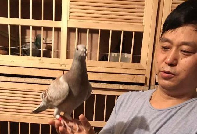 ����ֲš��������ͼ��