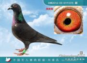 ɹ�񽱸룺����ܻؼҵİ����ߣ�