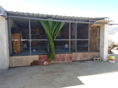 ���������� ��ҿ���զ����