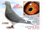 ���������볬���ִ�