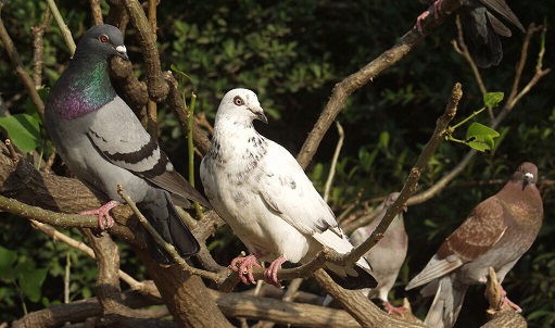 ��֮֮�������� ��־ͻ��ջ�