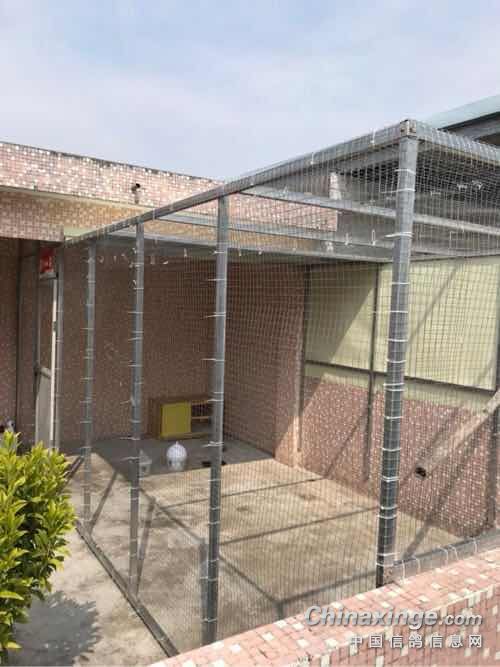 ������Ὠ�ɡ�������Բ��