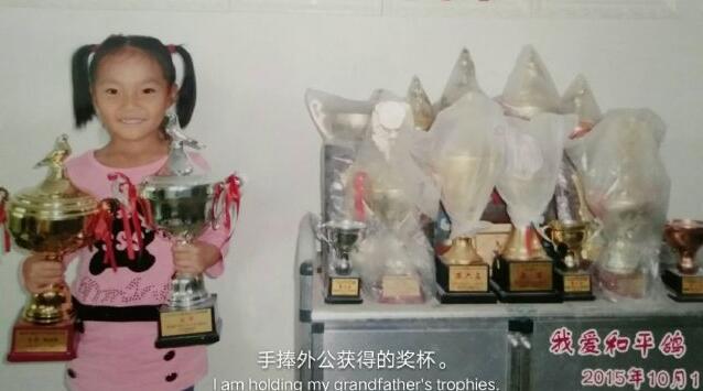 ������Եĸ���