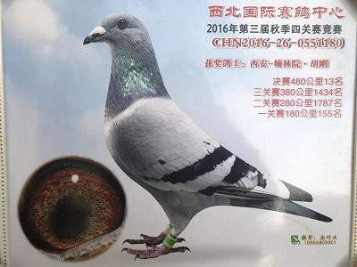 ���գ�����Ϊ�� ����ھ��븸ĸ�����ַ�����أ�