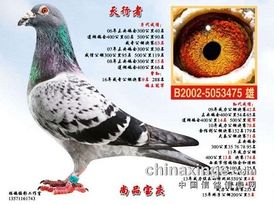 ÿ��һ�룺��̲Ӣ��֮���Ӵ���