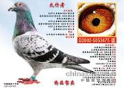 ÿ��һ�룺��̲Ӣ��֮���Ӵ���