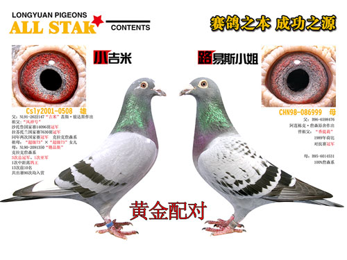 ÿ��һ�룺�Ϻ���԰֮�ƽ����