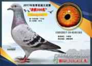 ɹ�񽱸룺�湫��Ҳ���˻�ͷǮ