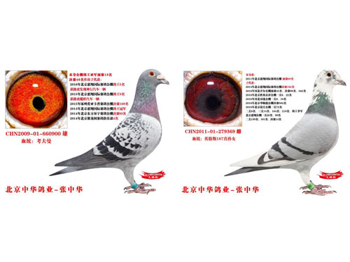 ÿ��һ�룺�������������������֮�ƽ����