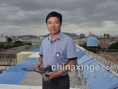 ʵս��ȫ����ϵ����������챦������