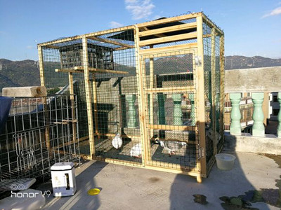 �Լ����ĸ��� �����ɣ�