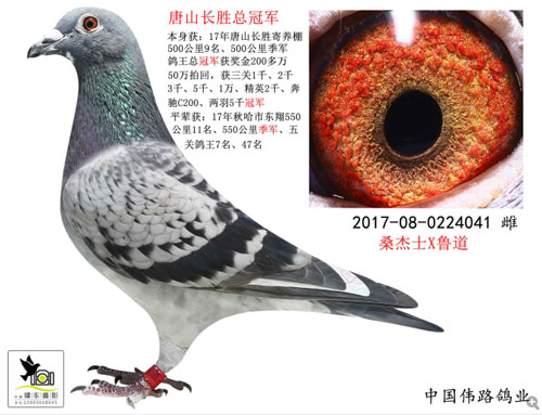 ÿ��һ�룺�ھ����ھ�