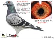 ÿ��һ�룺�ھ����ھ�