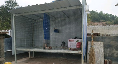 �ߵʹ�������С����