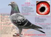ÿ��һ�룺��ɽ�����廢�Ͻ�֮������