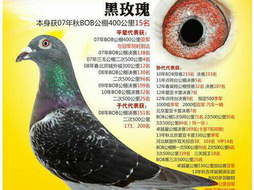 ÿ��һ�룺����녴������ִơ���õ�塱