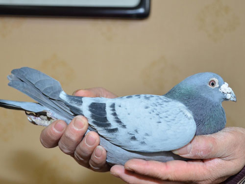 ÿ��һ�룺�������೬��6060