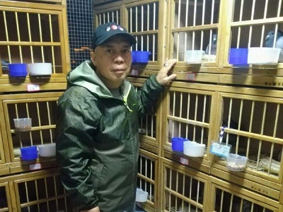 ����ǰ����������������ʮ���� ����ʰ�ɰ�