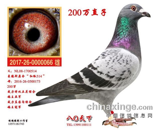 ��鳣����ɸ���1.7�����ߡ��𵰡�����ͼ��