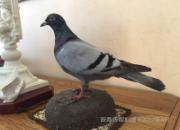 ����С��ϵ�й���֮һ׷��֮Դ