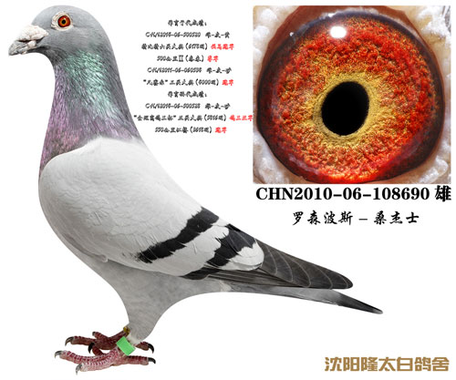 ÿ��һ�룺����¡̫�׸�����������