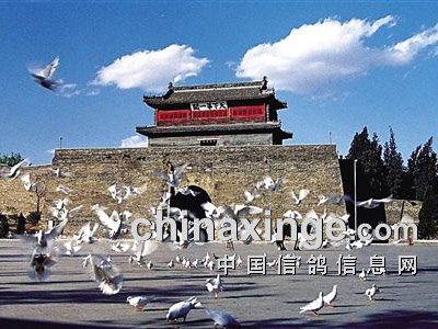 ɽ�������������߷õ��飨ͼ��