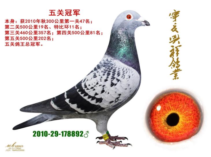 ÿ��һ�룺����������ռ��֮�ھ����