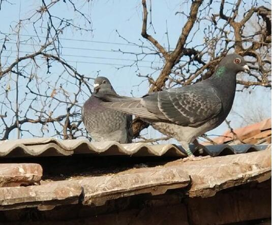 ����Ҫ�����ú� ���������ٲ���