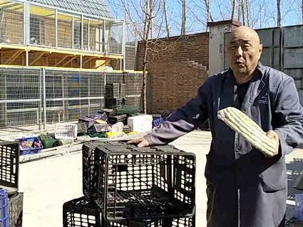 ��Ƶ���������Ͽ��������ᳲ��