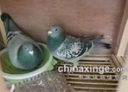 ����������������
