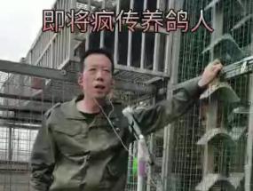 �𡰸롱���� Х������