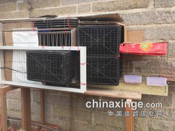 ��̨����С������������