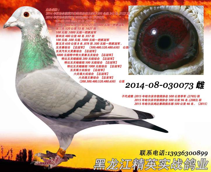 ÿ��һ�룺��������������ر��ܹھ�