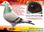 ÿ��һ�룺��������������ر��ܹھ�
