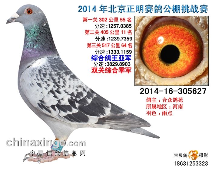 ���ڵ�һ���� ����������������