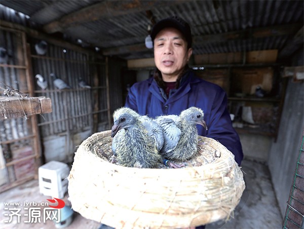 �����ϸ������ִ������������ھ�