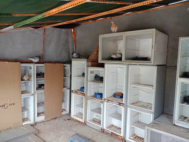 �ɱ��������� ���ȷ���Ч���ã�ͼ��