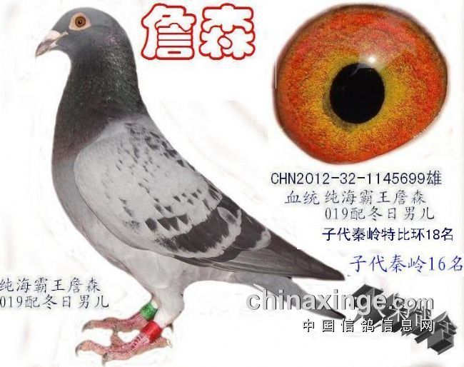 ������л�˵��û�ж��϶Ե��ڰ״�