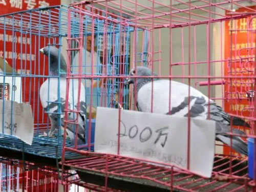 ÿ��һ�룺�ȷ���չ����۸롱����ʲô��·��