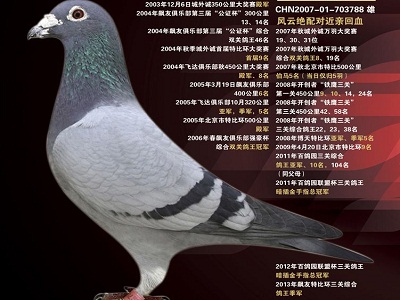 ÿ��һ�룺����������֮��������