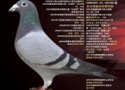 ÿ��һ�룺����������֮��������