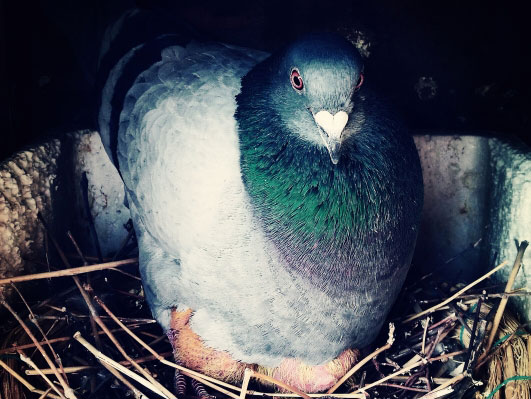 ���ʫһ�� ����ͣ���븳